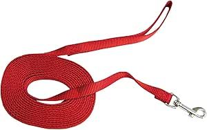 Hamilton Standard Colors Collection Red Nylon Training Lead 5/8&quot; X 10&#39;