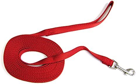 Hamilton Training Lead 5/8&quot; X 30&#39;