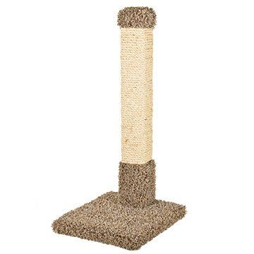 Kitty Cactus &amp; Sisal 32inch