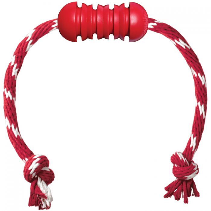 Kong Medium Dental W / Rope