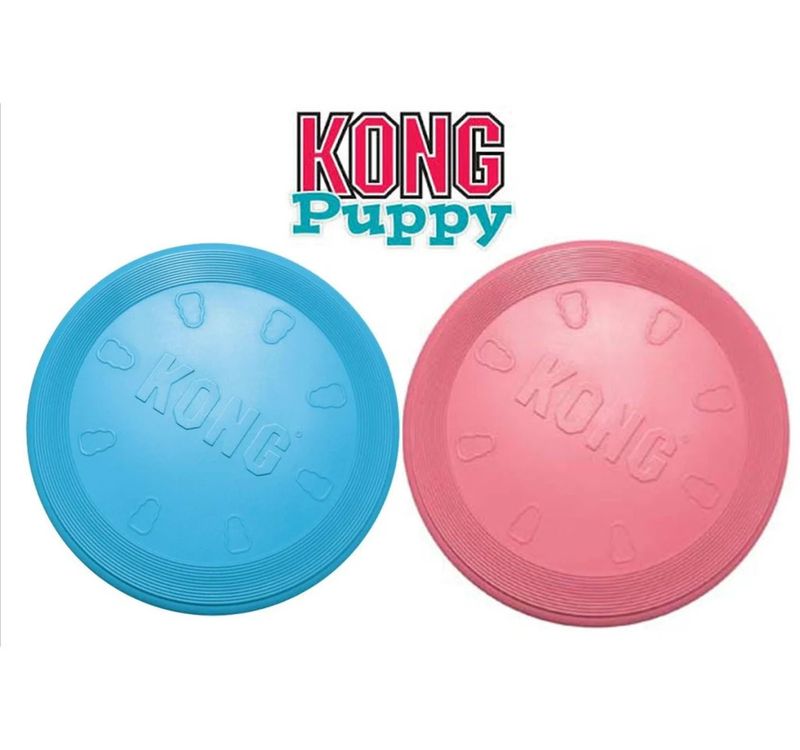 Kong Puppy Flyer