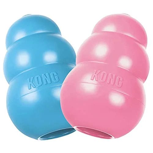 Kong Puppy Kong Medium