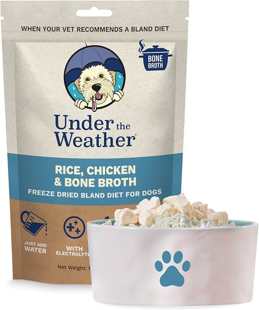 Under The Weather Dog Bland Diets With Bone Broth &amp; Electrolytes