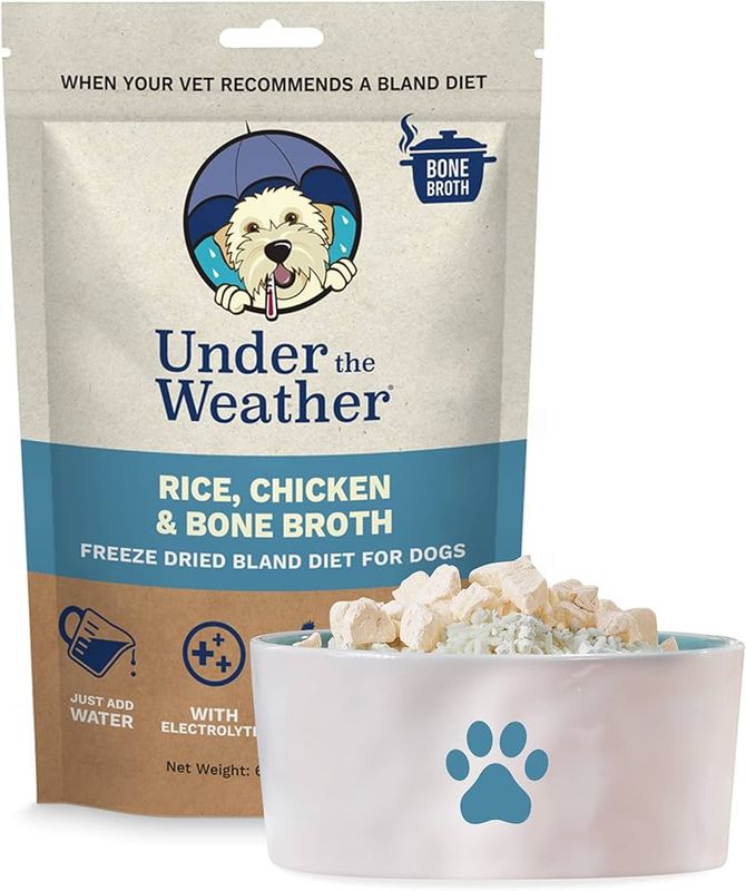 Under The Weather Dog Bland Diets With Bone Broth &amp; Electrolytes