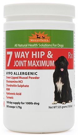 Wellytails Hypoallergenic 7 Way Hip And Joint Care Rx Dog 525g