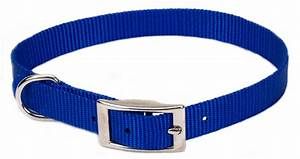 Coastal Collar Blue Small