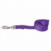 Petmate Standard Nylon Lead Purple 4Ft X 1In