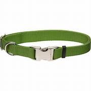 Coastal Dog Collar Green