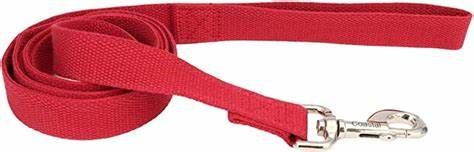 Coastal Soy Leash Red