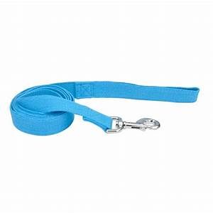 Coastal Blue Leash Small