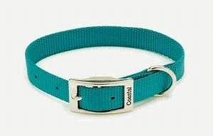 Coastal Collar Blue Large
