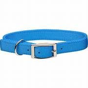 Coastal Medium Dog Collar