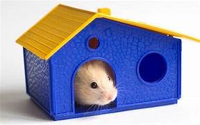 Choo Choo Hamster Cake House Hideaway