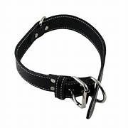 Lacets Double Leather Collar Black 2X26Inch