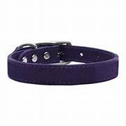 Lacets Leather Collar Purple 1/2X12Inch
