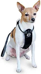 K&amp;H Travel Safety Harness Large