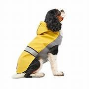 Goo-eez - Reflective Yellow Hooded Raincoat, Size: 2XS