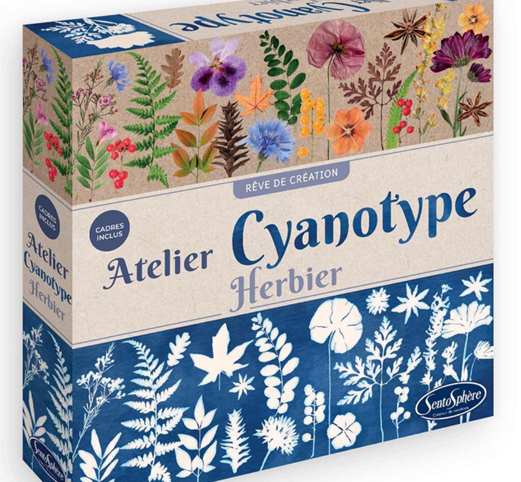 Atelier Cyanotype herbier - Sentosphère