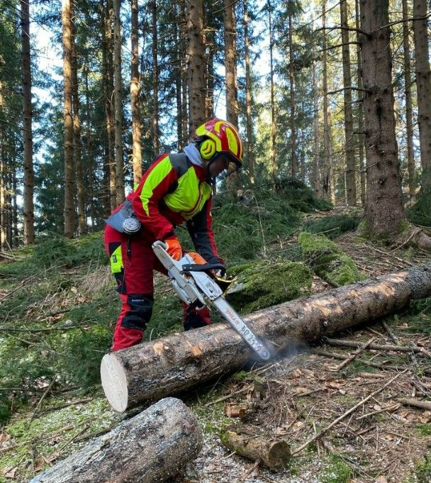 OEST Biosynt Sägekettenöl - 20 Liter Kanister