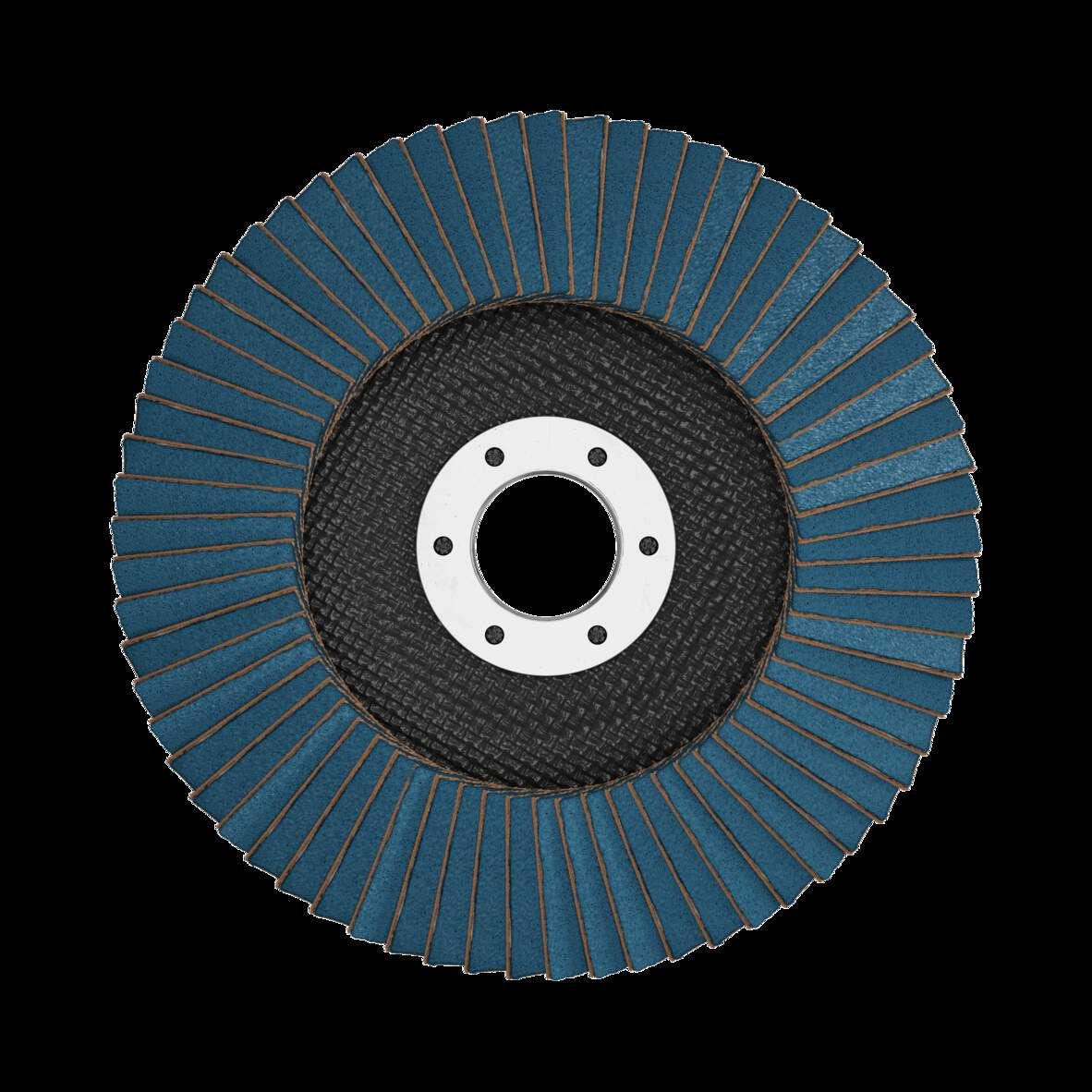 TYROLIT Fächerscheibe Basic 2in1 125x22,23mm K80