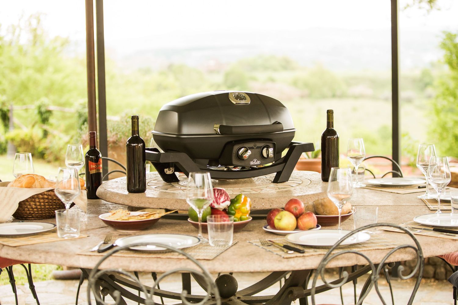 NAPOLEON Gasgrill TRAVELQ PRO285 Schwarz