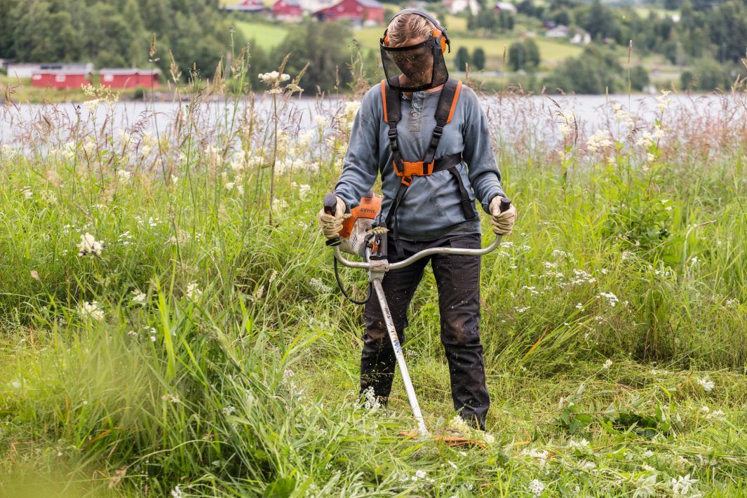 STIHL FS 361 Freischneider