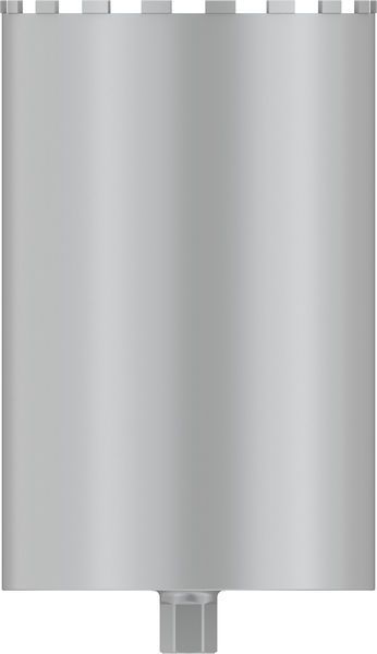BOSCH &quot;PRO Nassbohrkrone, 300 x 450 mm, 1 1/4&quot;&quot; UNC&quot;