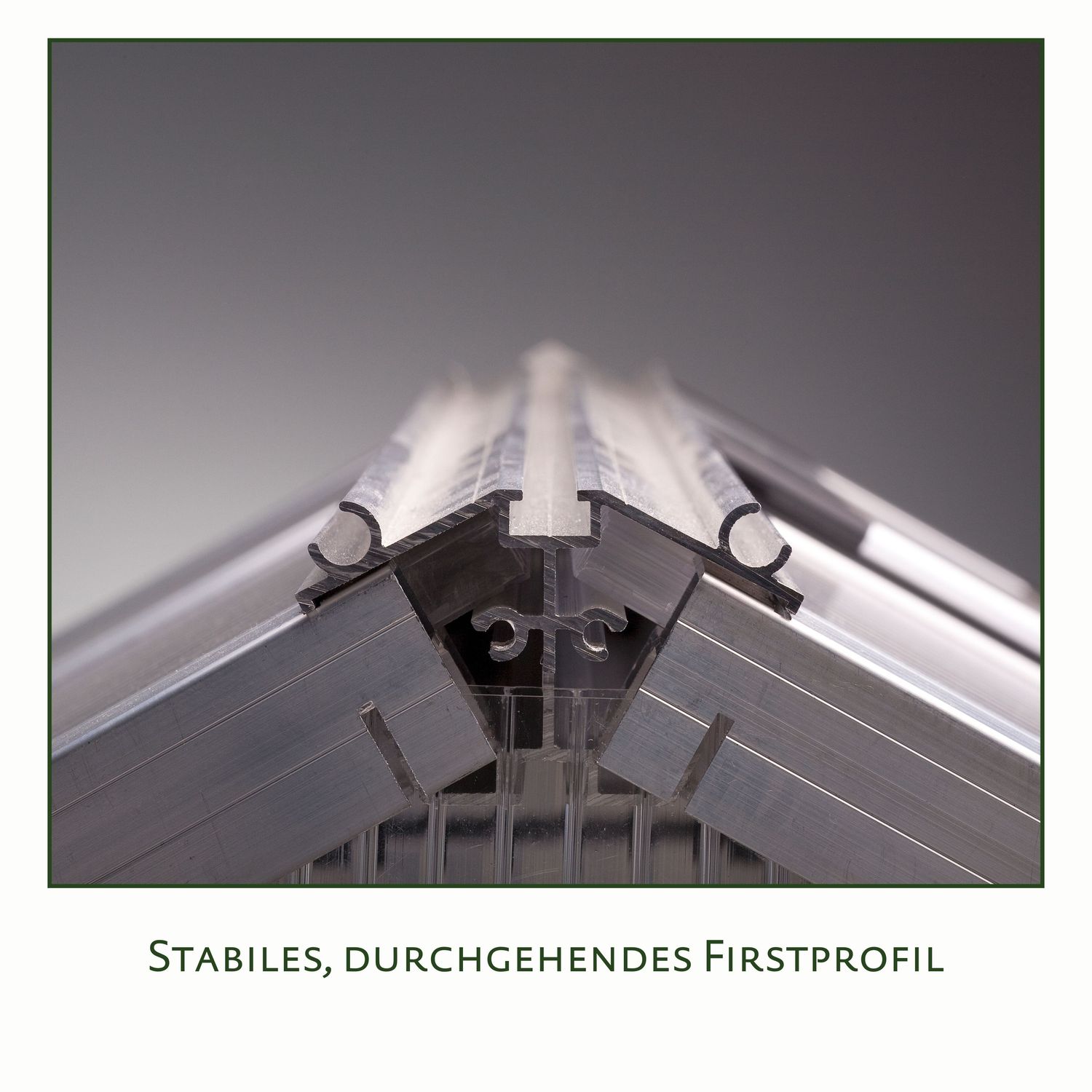 Gewächshaus Callas III - blank
