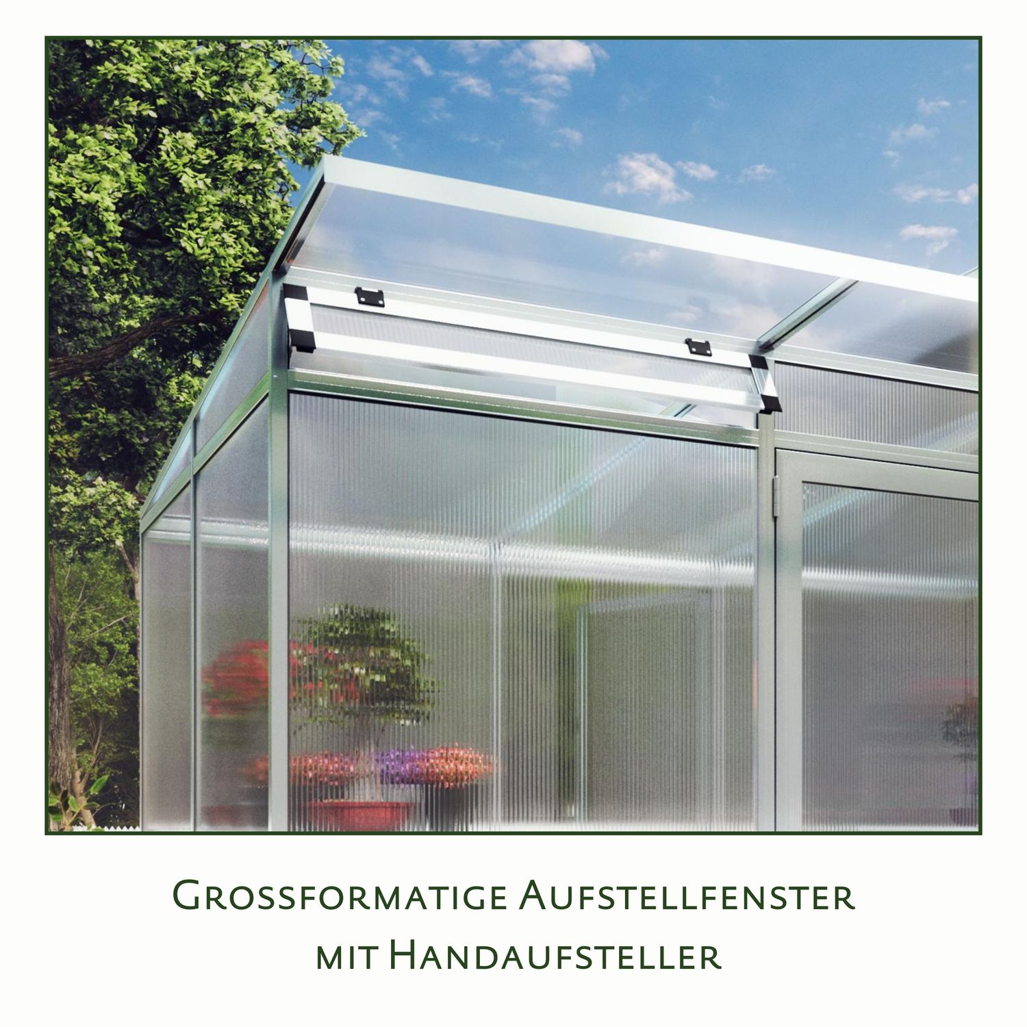 Gewächshaus Linea II - blank