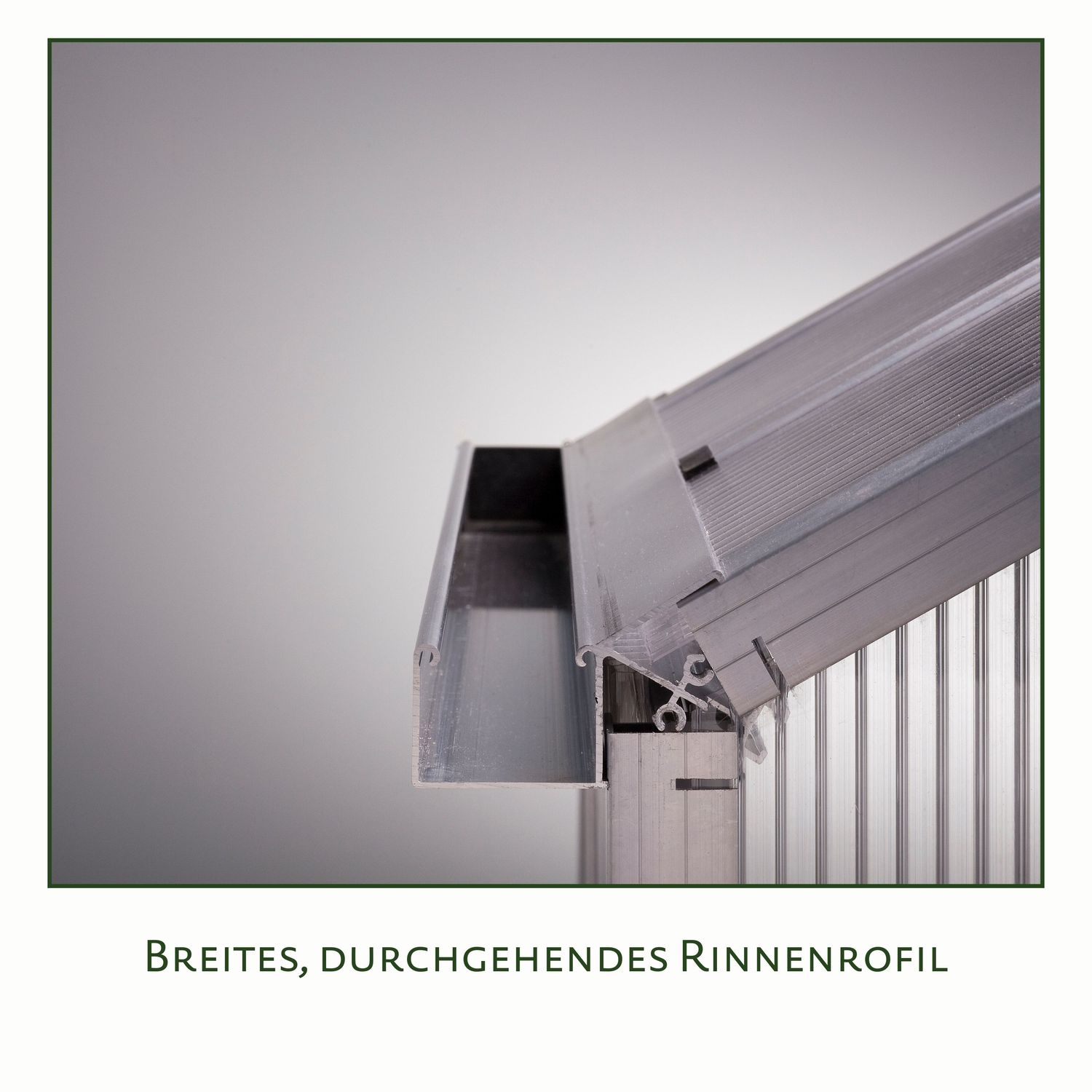 Gewächshaus Jasmin II - blank