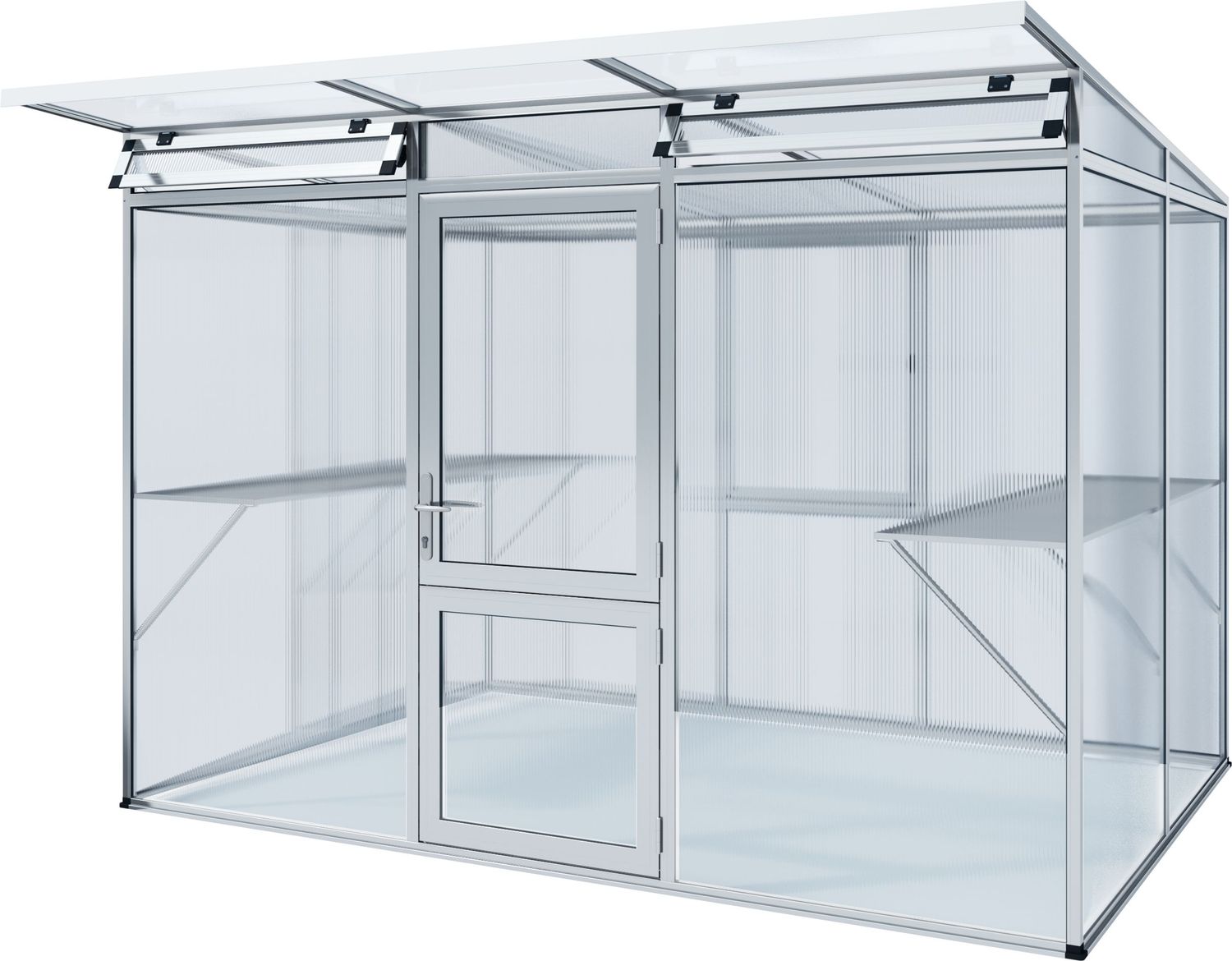 Gewächshaus Linea II - blank