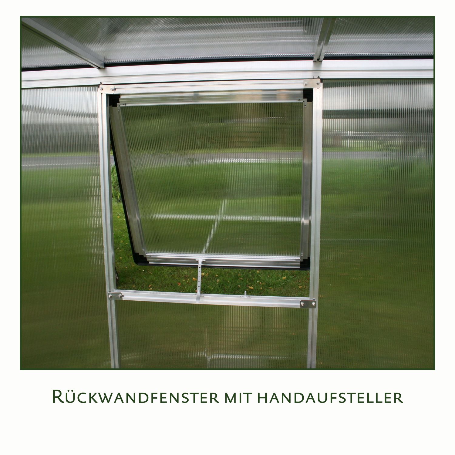 Gewächshaus Jasmin II - blank