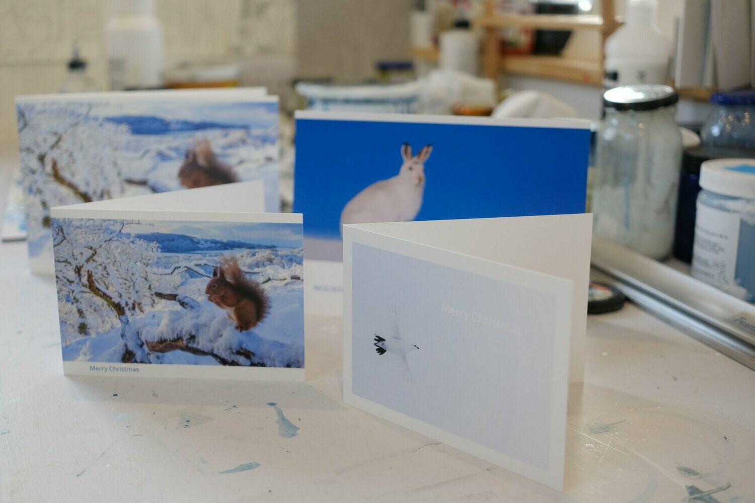 Christmas Cards - Pack of 10 - from £26