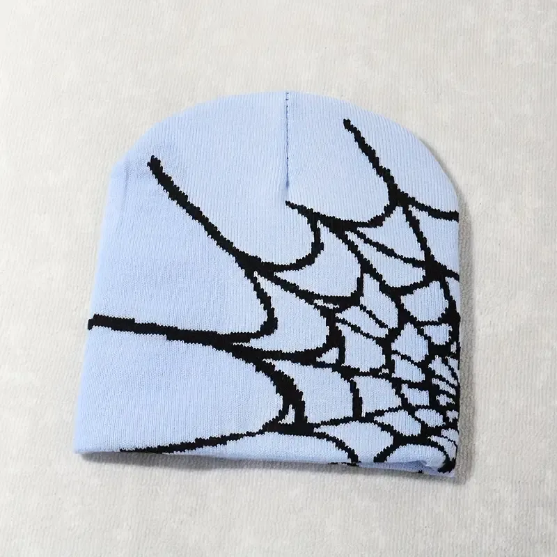 Spider Web Beanie