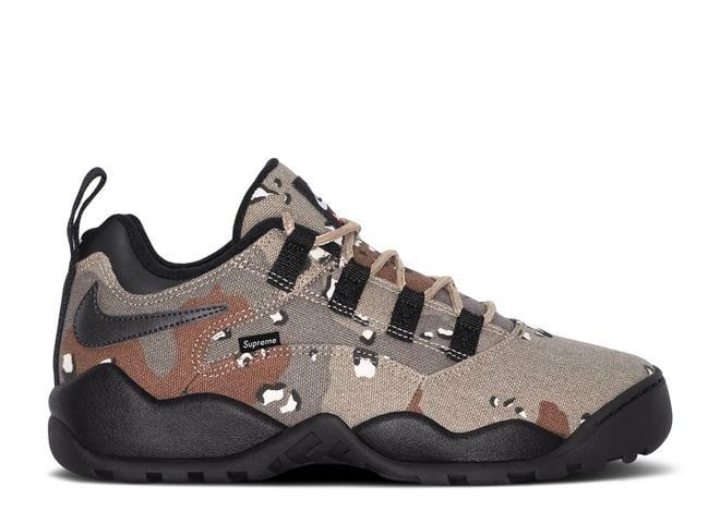 Supreme Nike SB Darwin Low Dessert Camo