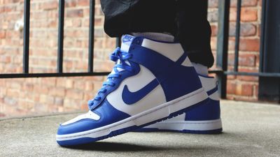 Nike Dunk High