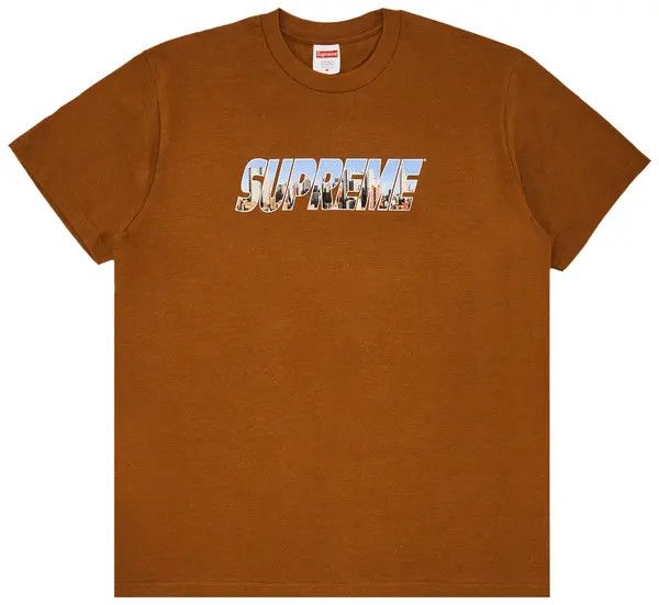 Supreme Gotham Tee Light Brown 