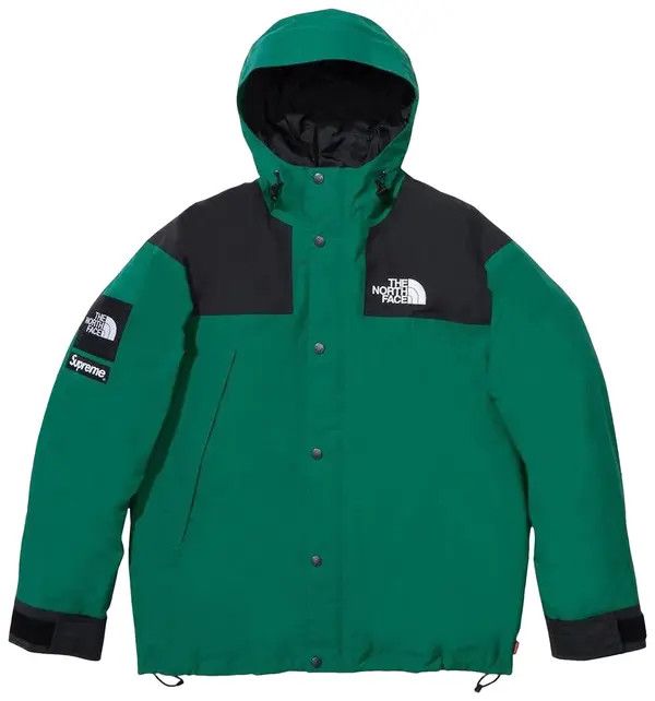 Supreme Mountain Jacket 'FW24 The North Face' ( Skull)