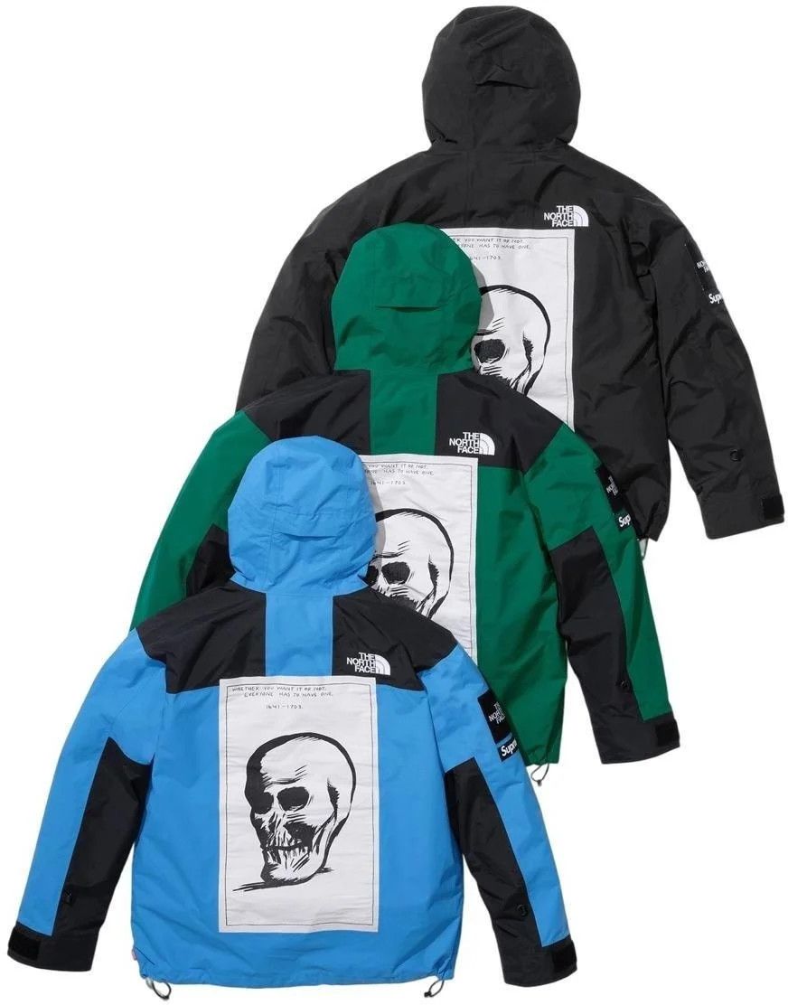 Supreme Mountain Jacket 'FW24 The North Face' ( Skull)