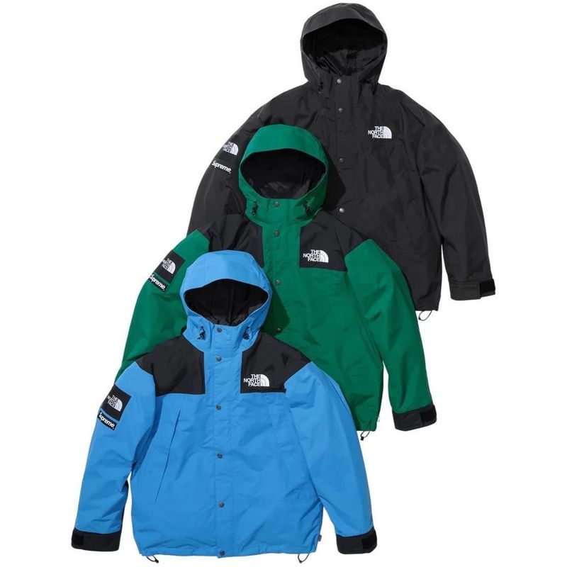 Supreme Mountain Jacket 'FW24 The North Face' ( Skull)