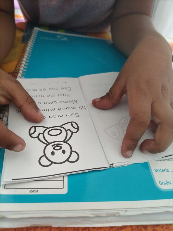 Mini libritos lecturas 1, 2, 3 y 4