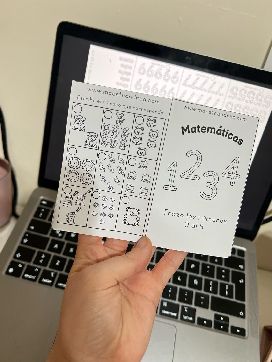 Mini librito trazo de números 0 al 9