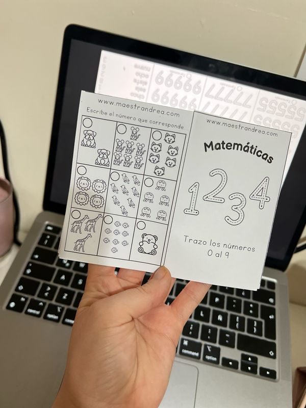 Mini librito trazo de números 0 al 9