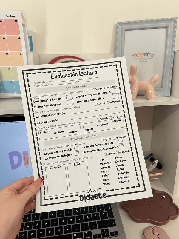 Evaluaciones lectura y escritura por categoría