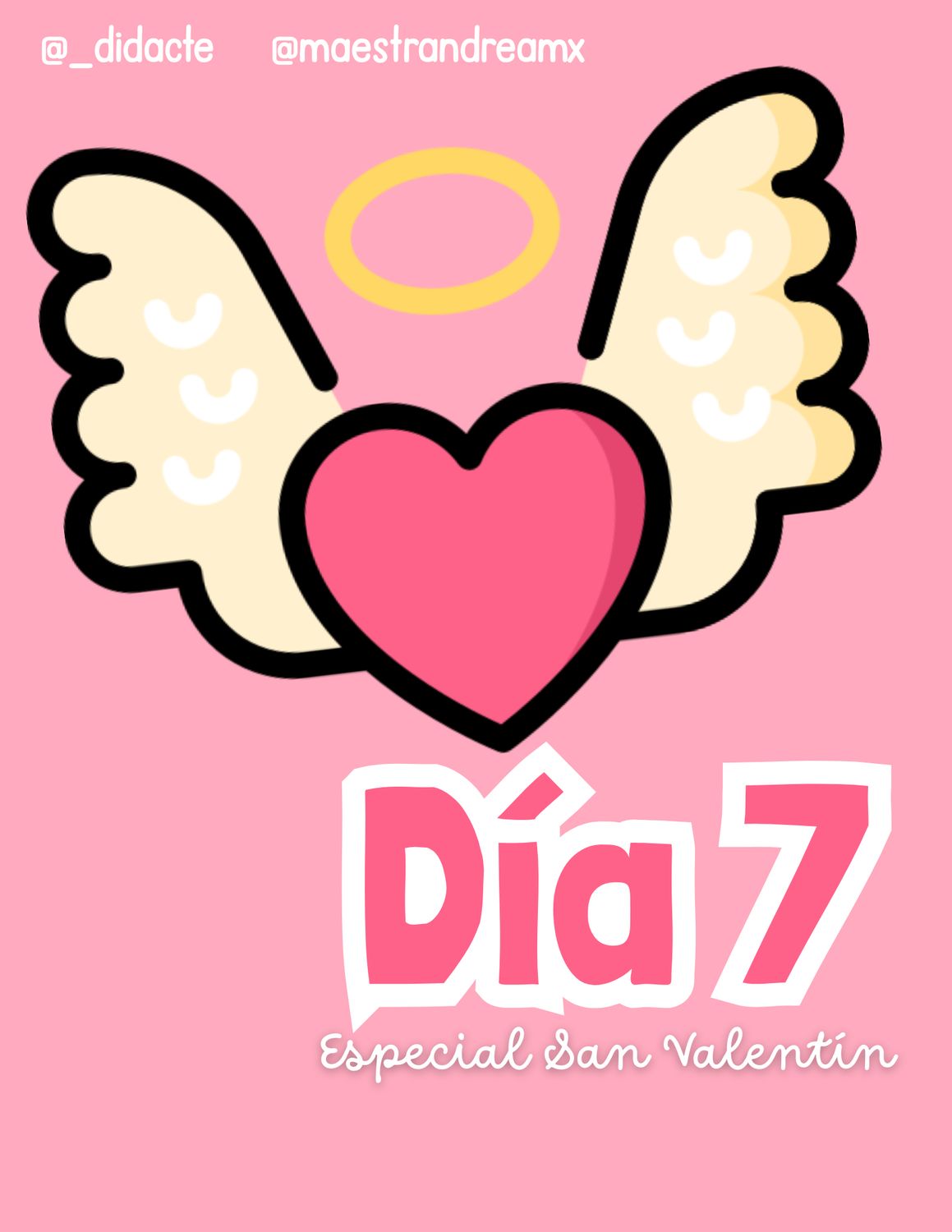 Día 7