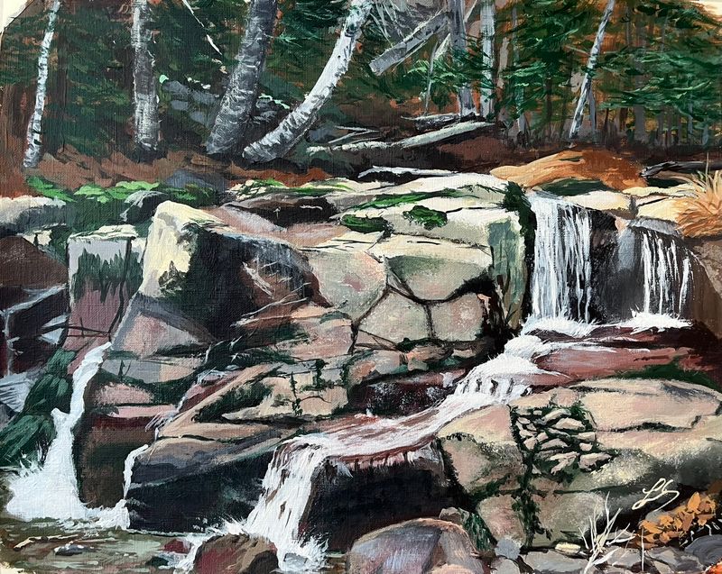 Adirondack Backcountry