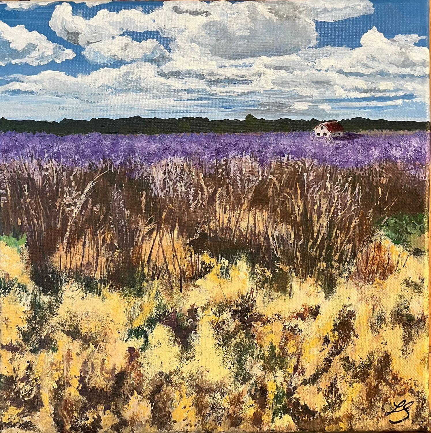 Fields of Purple
