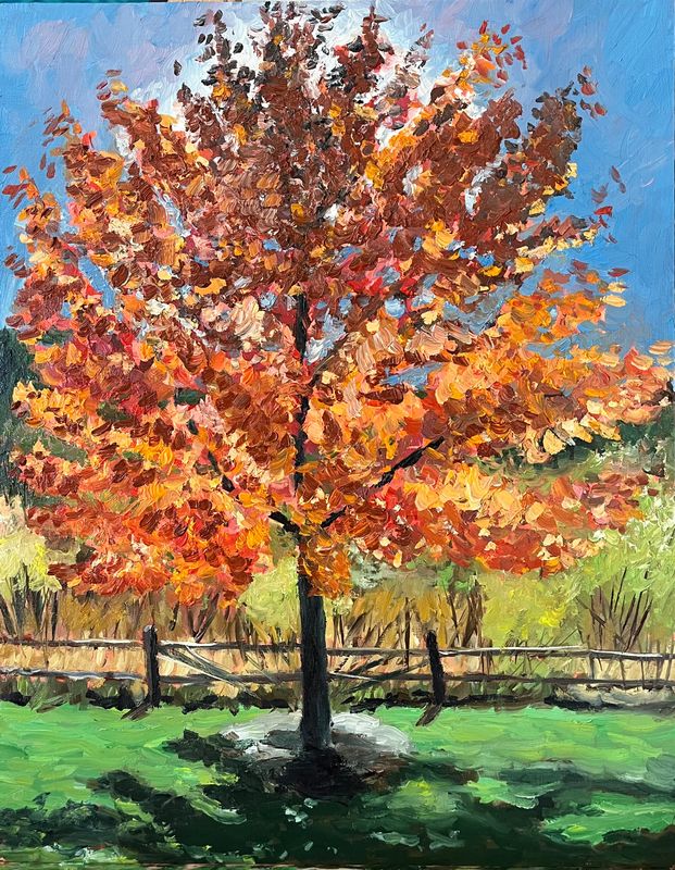 Shades of Fall