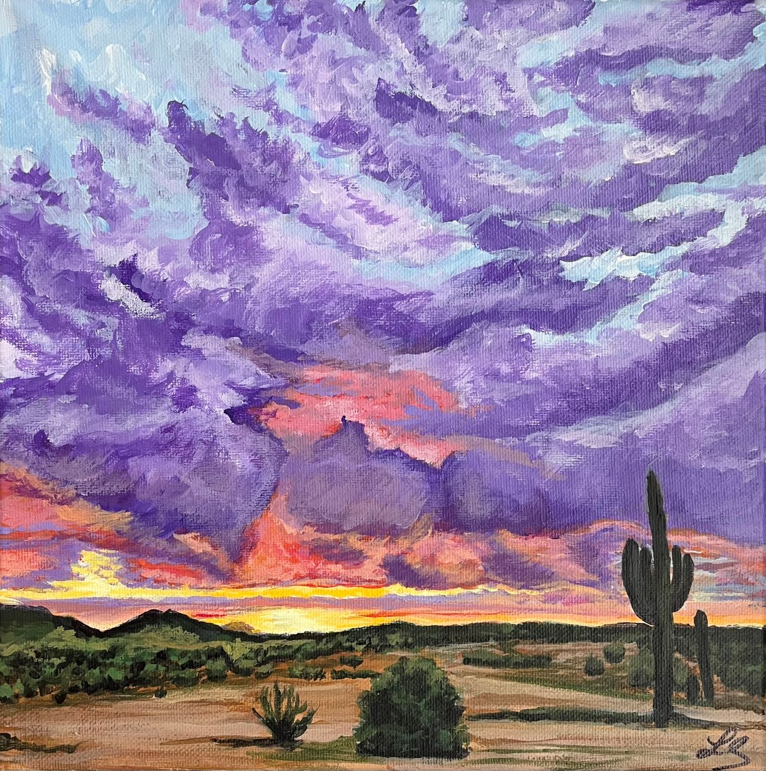 Arizona Skies