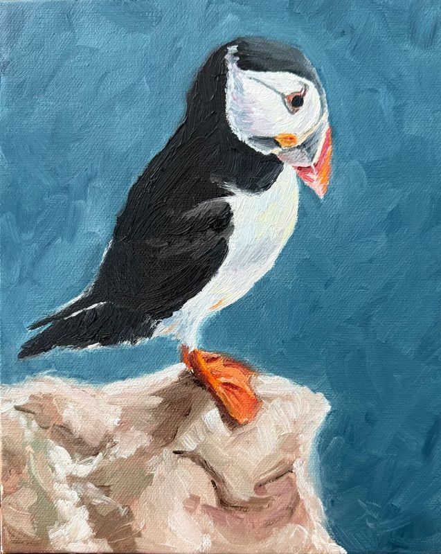 Puffin on the Rocks